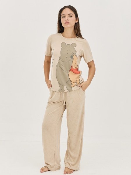 דיסני ויס/פול טי קא