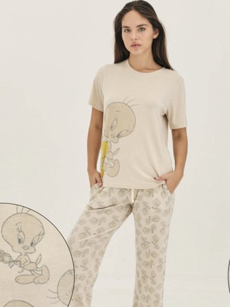 סט פיגמה intima