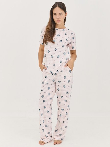 סט פיגמה intima