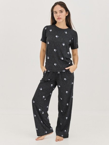 סט פיגמה intima