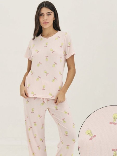 סט פיגמה intima