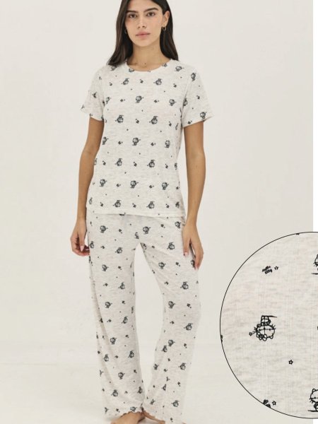 סט פיגמה intima