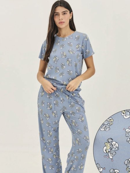 סט פיגמה intima